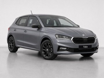 Gebrauchte Skoda Fabia