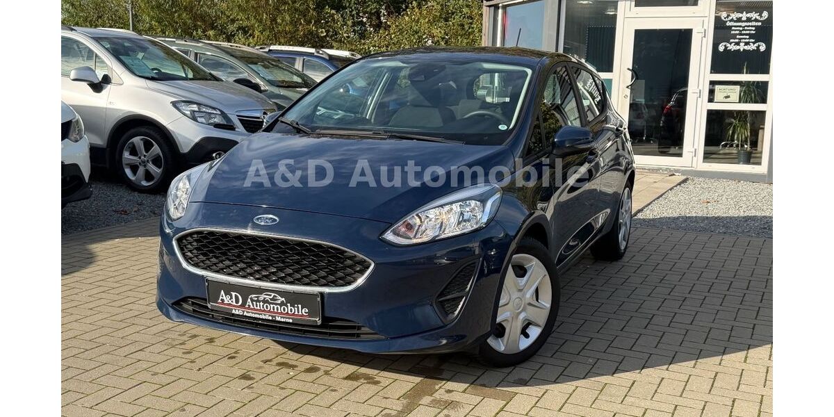 Ford Fiesta 69.386 km 10.690 &euro; Marne 25709